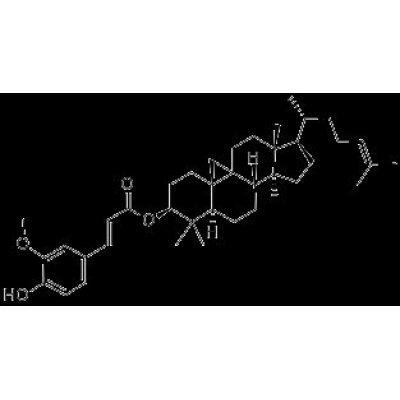 甄准生物科技：革命性的基因编辑技术