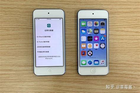 苹果手机怎么清楚数据不删APP