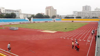 湛江体育学校 湛江体育学校
