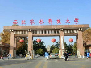 陕西科技大学保研加分细则 陕西科技大学保研加分细则