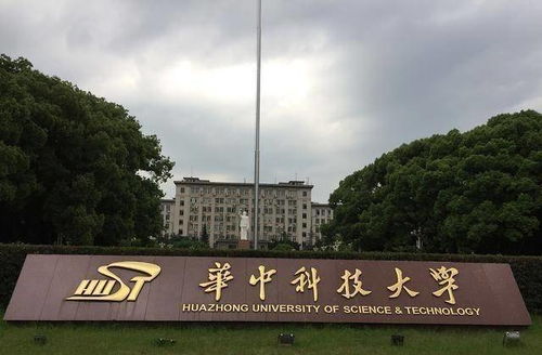 华中科技大学陈刚教授