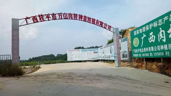 广西农业科技公司 广西农业科技公司