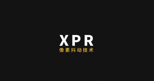 当贝网络科技公司金凌琳