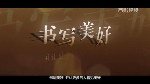 【新媒体战略启动】哔哩哔哩创作激励计划全面开启！