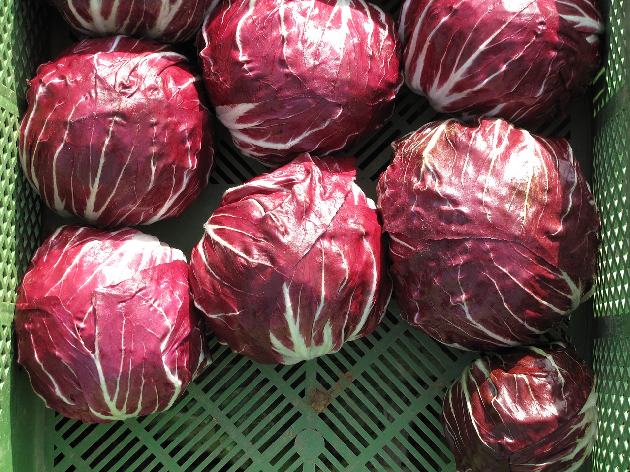 秋季蔬菜盛宴,供应充足,品味新鲜 秋季蔬菜盛宴,供应充足,品味新鲜